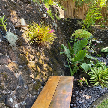 100 Year Old Tree Bench