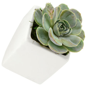 Small Cube Wall Planter, Matte White