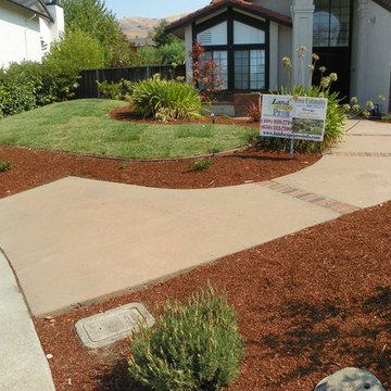 Landscape Projects