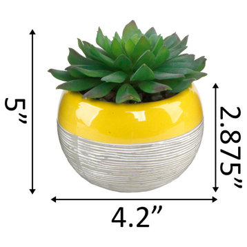 Succulent In Two Tone Lines Pattern Ceramic Pot ,Yellow