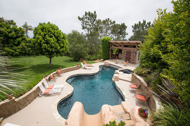 Pool - tropical backyard stone and custom-shaped pool idea in Phoenix