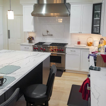 Transitional kitchen in Thousand Oaks