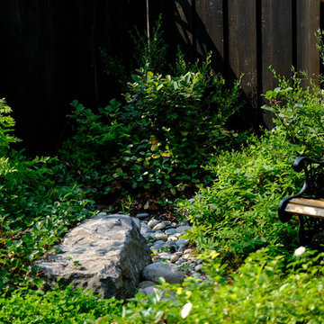 Pollinator Haven