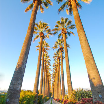 Redlands, CA Mancave