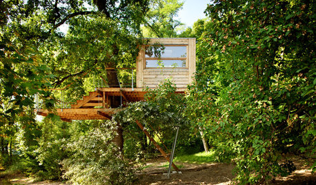 Ein Baumhaus bauen: Darauf achten die Profis