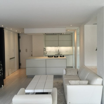 Modern Swiss Elegance In New York