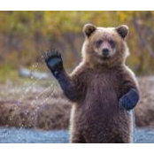 Tom Steinman's photo
