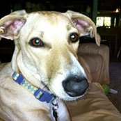 Becky Abbate's photo