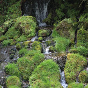 Foto von N Bowers