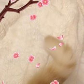 Angela Zeleny's photo