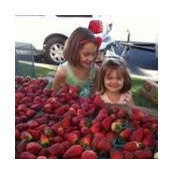 Melissa Trapalis's photo
