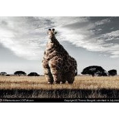 Cristin Davis's photo