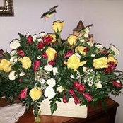Foto von Sheri Simpson