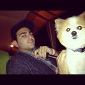 Avi Ahdoot's photo