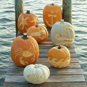 Susan Miller's photo