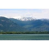 Shawny Swan's photo
