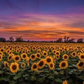 Kim Bennett's photo