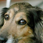 Claudia Klostermann's photo
