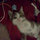 ellen_fields17