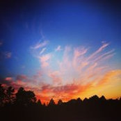 Candice O'Malley's photo