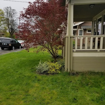 NE Portland Front Yard