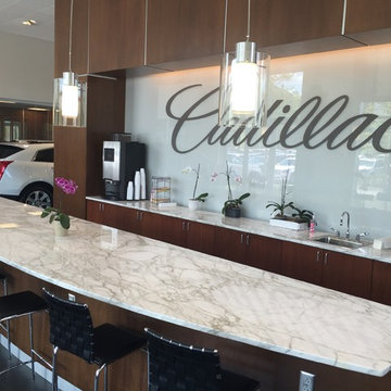 Cadillac's project