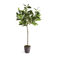 Topiary