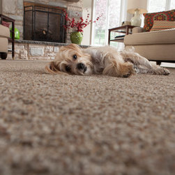 Mohawk Flooring - Flooring