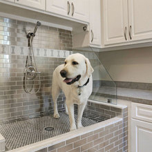 Dog grooming
