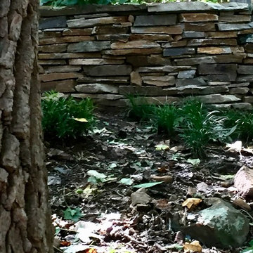 Conversation through texture:  bark and stone.