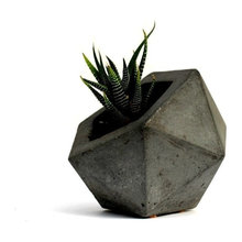 Pots