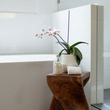 Master Bath Ideas
