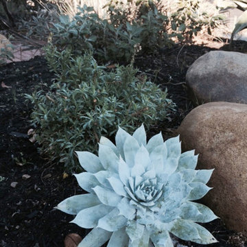 2016 Native Plant Garden Tour