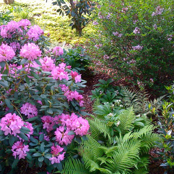 Green Springs: Growing a New Old Garden