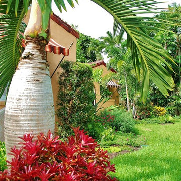 Tropical Landscape Design