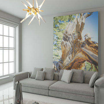 Photo murals in Contemporary Interior Design