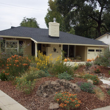 Landscape Designs