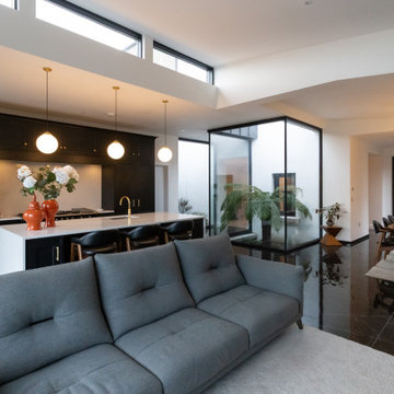 Dublin Period Home Reimagined for Contemporary Living