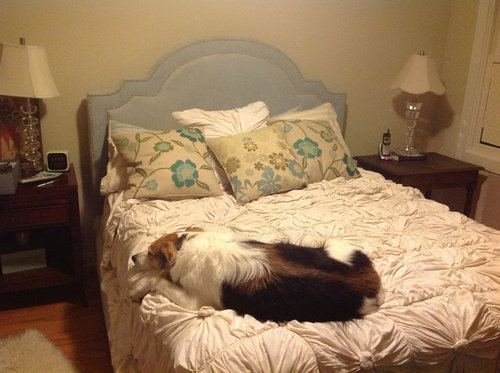 Upholstered Headboard And Bed Frame, How To Change Color Of Upholstered Headboard