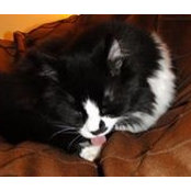Shearee Guenther's photo