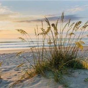 Stephanie McEnany's photo
