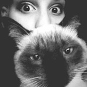 Valentina Demattè's photo