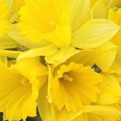 Ann Smith's photo