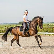 Laurien van der Meer's photo