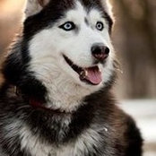 Georgette Gascon's photo