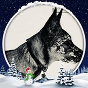 Jason Gallop's photo