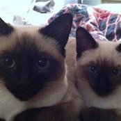 Janet Alden's photo