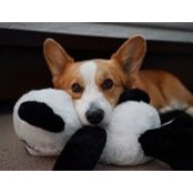 Gilbert Fallorina's photo