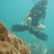 Michael Gayman's photo