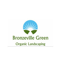 Bronzeville Green Landscaping